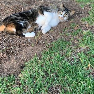 Meet your Posher, Lee-anne